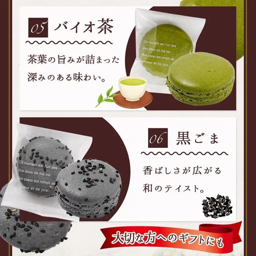 静マカロン ふるさと香る彩りセレクト 6種6個入≪みやこんじょ特急便≫〔LE-C206-Q〕_(都城市) マカロン スイーツ ショコラ いちご 日向夏 ピスタチオ バイオ茶 黒ごま