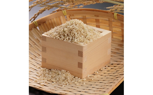 【毎月定期便】あきたこまち慣行栽培精玄米5kg全3回【4094208】