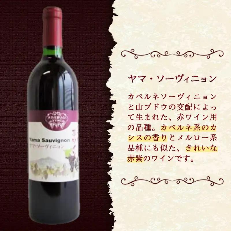 八千代夢ワイン シリーズ ヤマ・ソーヴィニョン（赤）・ きぬ（白） 2本 セット（茨城県共通返礼品・八千代町）／ 国産 酒 アルコール ぶどう ギフト