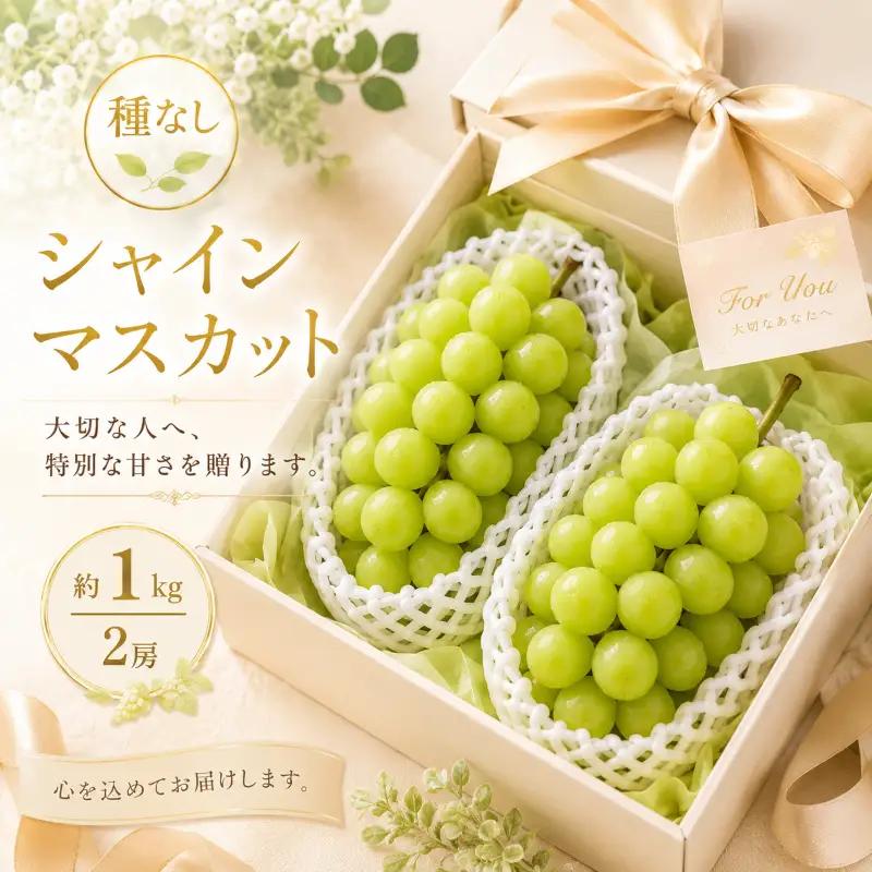 ぶどう シャインマスカット 種なし 計約1kg 2房 ぶどう