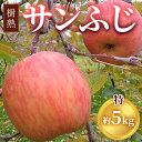 【ふるさと納税】【早期予約】りんご 加積りんご 樹熟サンふじ特 約5kg｜ふじ 魚津市産 富山 リンゴ 林檎 くだもの 果物 フルーツ デザート 産地直送 富山県 ※北海道・沖縄・離島への配送不可 ※2024年12月上旬～2025年2月上旬頃に順次発送予定