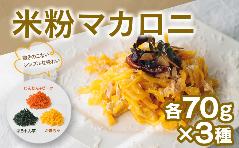 パスタ ベジタブル 野菜パスタ スパゲッティ フェットチーネ マカロニ VEGE.PA ベジパ 9食