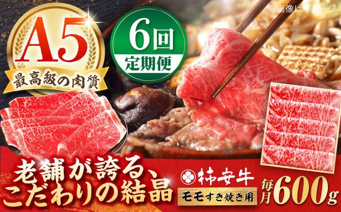 
                  【6回定期便】最高級A5等級 三重県産黒毛和牛 柿安牛 モモ 600g / 国産牛 ブランド牛 牛肉 冷蔵 / 亀山市 / 柿安本店 [AMBW007]
                