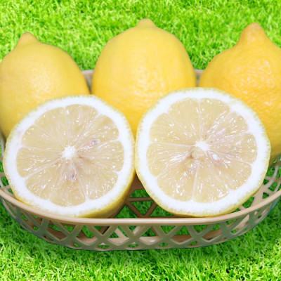 ふるさと納税 湯浅町 和歌山産　レモン　5kg　【訳あり】