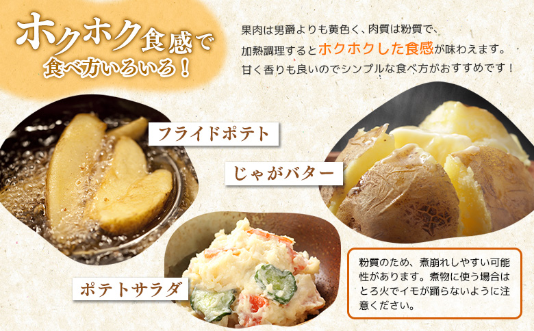 【先行予約】(生産者直送)じゃがいも VIP キタアカリ 5kg いも おいも 芋 イモ ジャガイモ ポテト きたあかり オンライン 申請 ふるさと納税 北海道 留寿都 野菜 ホクホク 産地直送 新鮮