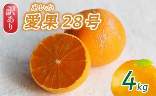 【2025年12月頃から発送】訳あり 愛果28号（ 紅まどんな と同品種） 家庭用 4kg | 愛媛 みかん あいか あいか28号 愛果 愛果28号 紅マドンナ 紅まどんな と同品種 蜜柑 アイカ 柑橘 果物 贈答 愛媛のみかん くだもの フルーツ あいか ご家庭用 みかん 数量限定 愛媛県産 ミカン 愛媛県 松山市