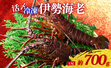 冷凍 伊勢海老 約700g 1尾 活〆 特大 伊勢えび 伊勢エビ イセエビ 海老 えび エビ ebi いせえび 魚介 海鮮 海産物 海 特産品 うま味 旨味 海の幸 アウトドア BBQ 刺身 炭火焼 産地直送 国産 三重県 伊勢 志摩 南伊勢町 山藤