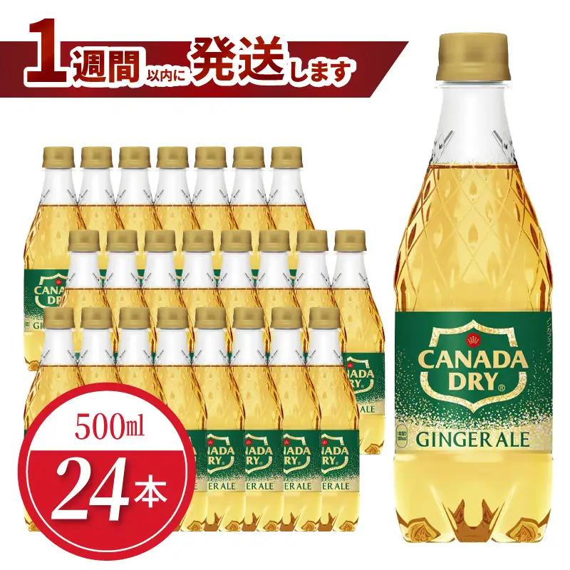 カナダドライジンジャーエール 500mlPET（24本入） 飲料 ドリンク コカ・コーラ ジンジャーエキス 水分補給 常備 保存 買い置き PET 人気 おすすめ  BB-0012