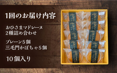 【全6回定期便】おひさまマドレーヌ 10個 詰め合わせ (おひさまマドレーヌ5個 三毛門かぼちゃマドレーヌ5個)[VBI025] お菓子 菓子 詰め合わせ 洋菓子