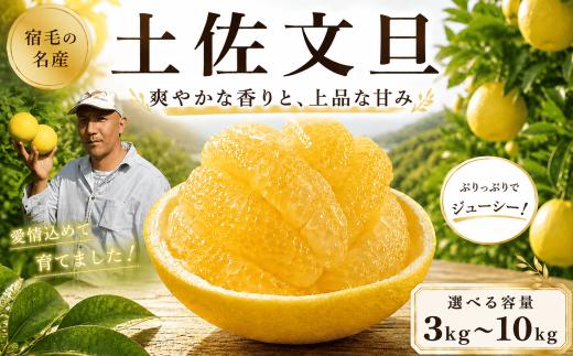 【家庭用】土佐文旦 大玉(3L~4L) 約5kg 吉村農園