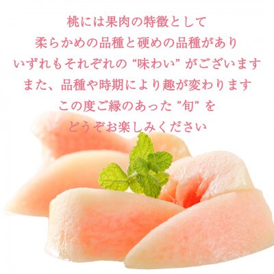 訳あり桃・2K(5~7個)「龍の木の実 望月のもも」【配送不可地域：離島】