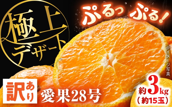 
                  みかん 訳あり 愛果28号 サイズ不揃い 約3kg 約15玉【12月上旬から12月下旬まで順次発送】/ フルーツ 果物 蜜柑 ミカン オレンジ 訳あり 訳アリ 小玉 甘い 先行予約 3kg 愛媛 愛果28号 ゼリー食感 プルプル 薄皮 果汁 柑橘 濃厚 甘み 糖度 訳あり 家庭用 旬 お取り寄せ 贈答 フルーツギフト 人気 おすすめ / 愛媛県砥部町/株式会社電子食品流通研究所 [BJBL002]
                