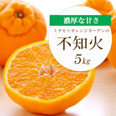 【ふるさと納税】【2026年2月以降発送】デコポンと同品種 濃厚柑橘 不知火(しらぬい) 5kg【D25-125】_ みかん ミカン 柑橘 フルーツ 果物 くだもの 青果 不知火 しらぬい 愛媛 産直 産地直送 国産 甘い 濃厚 旬 希少 【1268367】