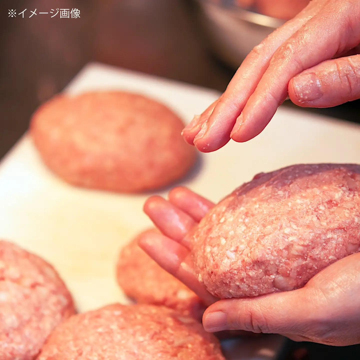 黒毛和牛プレミアムハンバーグ 5個セット　6回定期便[BACI017] ハンバーグ