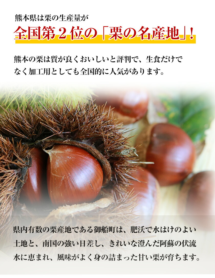 生栗 熊本県御船町産限定 約1kg または 約2kg(2L-Lサイズ)《9月上旬-9月下旬頃出荷》送料無料 期間限定 野菜 予約 スイーツ きんとん 甘露煮 渋皮煮 栗ご飯 熊本県御船町_イメージ3