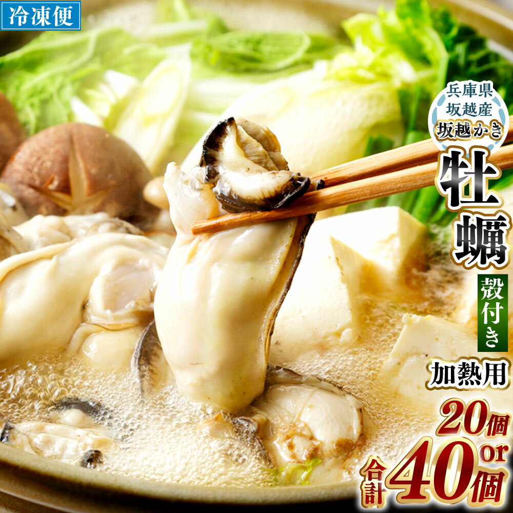 牡蠣 坂越かき 【冷凍】 殻付き 20個(加熱用)サムライオイスター 冬牡蠣　【魚介類・カキ・牡蠣・加工食品】