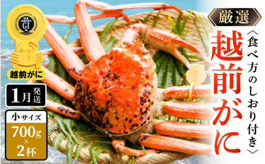 越前がに本場の越前町からお届け！≪浜茹で≫越前がに 小サイズ（生で700g以上）× 2杯 合計1.4Kg以上 食べ方しおり付【かに カニ 蟹】【雄 ズワイガニ かに カニ 蟹 越前ガニ 姿 ボイル 冷蔵 福井県】【1月発送分】希望日指定可 備考欄に希望日をご記入ください [e14-x014_01]
