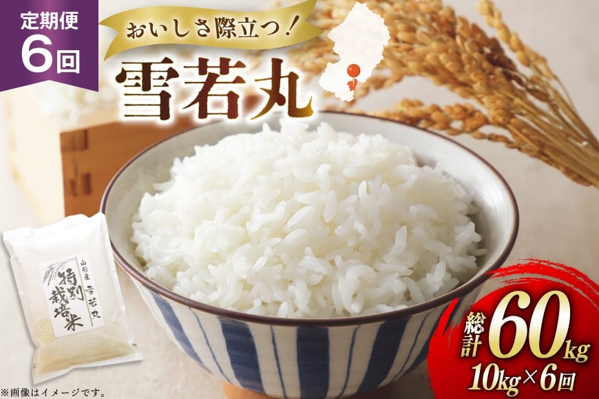 
            米 定期便 6回 令和7年 雪若丸 10kg 6回 計60kg [渡部ファーム 山形県 高畠町 tk06ays810046] お米 白米 精米 ごはん ご飯 ブランド米
          