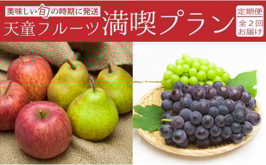 08-06-027　天童フルーツ満喫プラン(定期便)全2回