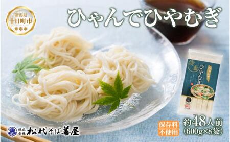 ひやむぎ ひゃんで 600g×8袋 約48人前 乾麺 ひやむぎ