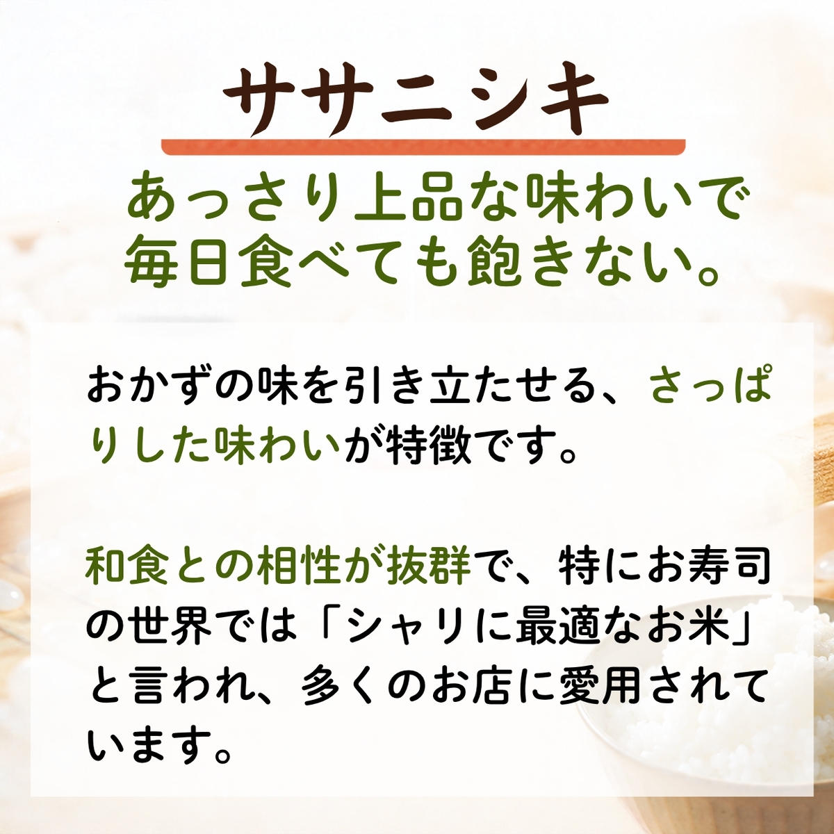 【先行予約】 【令和8年産】 ササニシキ 精米 5kg   宮城県産