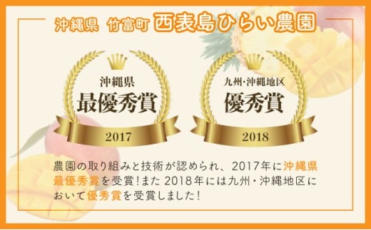 マンゴー 先行予約 沖縄 アップルマンゴー 約4kg 8～12玉 西表島 ひらい農園 2026年 発送 果物 フルーツ デザート 完熟 濃厚 約4kg（8～12玉）