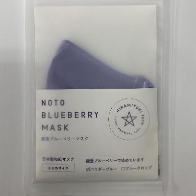 ふるさと納税 能登町 能登ブルーベリーマスク(パウダーブルー)NOTO BRUEBERRY MUSK　草木染め機能性マスク