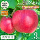 【ふるさと納税】 りんご サンふじ 家庭用 3kg 採れたてを発送 増田さんちのりんご 沖縄県への配送不可 令和6年度収穫分 長野県 飯綱町 〔 信州 果物 フルーツ リンゴ 林檎 長野 予約 農家直送 13000円 〕発送時期：2024年11月下旬～2024年12月上旬