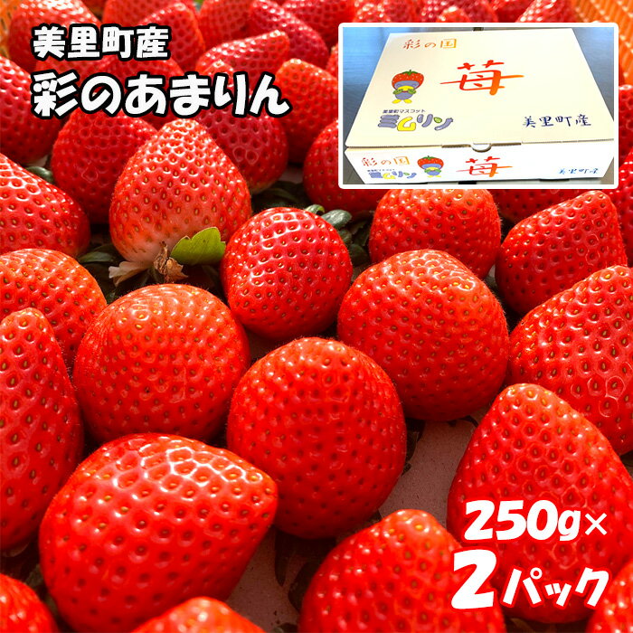【ふるさと納税】 美里町産いちご【彩のあまりん】（250g以上×2パック） ／ 苺 イチゴ 新品種 ビタミン 送料無料 埼玉県 No.169
