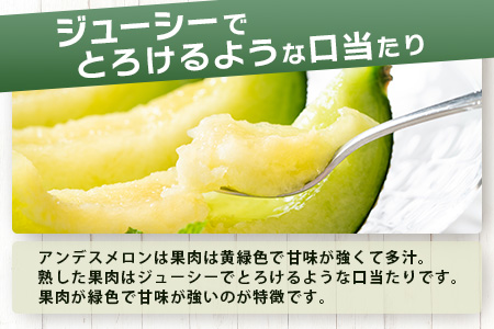 【2026年4月下旬以降発送分】 アンデスメロン 4玉～6玉（1箱5kg） 先行予約 熊本県 多良木町産 メロン 果物 フルーツ 旬 くだもの 予約受付 012-0556