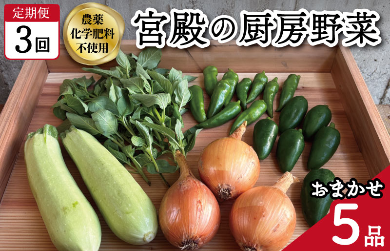 宮殿の厨房野菜 おまかせ定期便 （3回） 六月農園 野菜 セット 産地直送 おまかせ 5品 季節の野菜 旬 詰め合わせ 人気 限定 有機栽培 オーガニック 明和町 国産 リピート 定期便