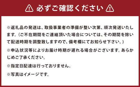 【3ヶ月定期便】ご当地グルメ! 馬刺し燻製2種と馬スジ・あか牛カレーのセット 4種 全6袋セット カレー ご当地カレー