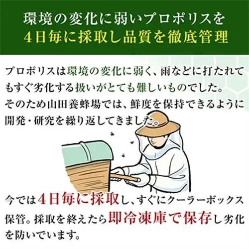 プロポリス粒 (486)【1111703】