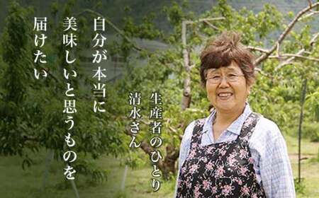 あかつき 約3kg 7～12玉 ［小布施屋］ 桃 もも モモ フルーツ 果物 令和8年産 【2026年7月末頃～8月上旬発送】[A-4]