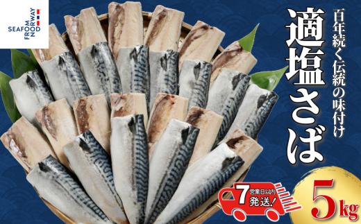 適塩さば 約5kg 千葉県 銚子市 さば 鯖 適塩 適塩鯖 塩鯖 塩さば さばフィーレ 鯖フィーレ さばフィレ 鯖フィレ 切り身 切身 食べやすい 小分け 個別冷凍 冷凍 お弁当 惣菜 おかず 塩焼き 味噌煮 調理用 料理 冷凍品 長期保存 保存食 鮮度 旨味 お取り寄せ グルメ 食品 魚 魚貝 海鮮 大容量 ギフト 贈物 贈り物 プレゼント ふるさと納税 エドノフーズ