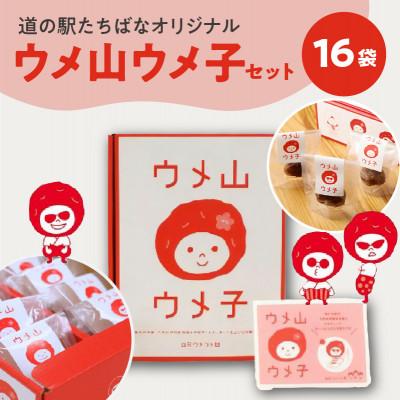 ふるさと納税 八女市 ≪道の駅たちばなオリジナル≫ウメ山ウメ子セット
