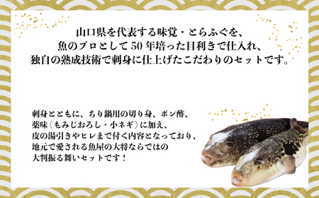 ★離島配送不可★【魚千代のふぐさし】国産とらふぐ刺身セット＜3?4人前＞（冷凍お届け） ( ふぐ フグ刺し とらふぐ 河豚 本場山口ふぐ 冷凍ふぐ ふぐ刺し身 ふぐ刺身 ふぐ鍋 ふぐちり ふぐ切り身 