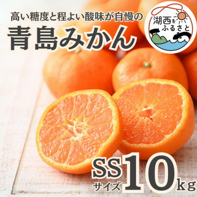 【ふるさと納税】【先行予約】【2026年1月初旬頃より順次出荷予定】青島みかん約10kg SSサイズ〔鈴木農園〕【1510112】