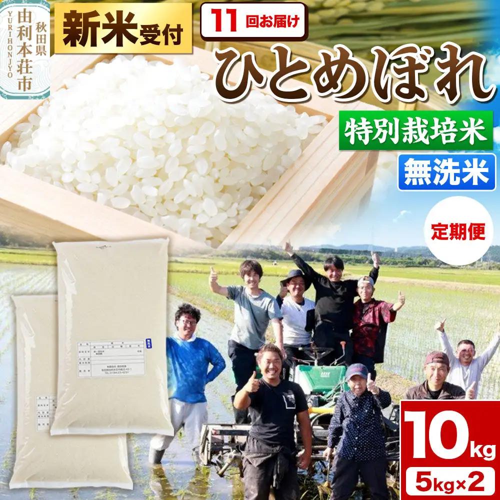 《新米予約》《定期便11ヶ月》令和8年産【無洗米】特別栽培米 ひとめぼれ 10kg（5kg×2袋）秋田県産 [ひとめぼれ 米 お米 白米 精米 無洗米 特別栽培米 ブランド米 食卓 秋田県産 秋田県 由利本荘市]