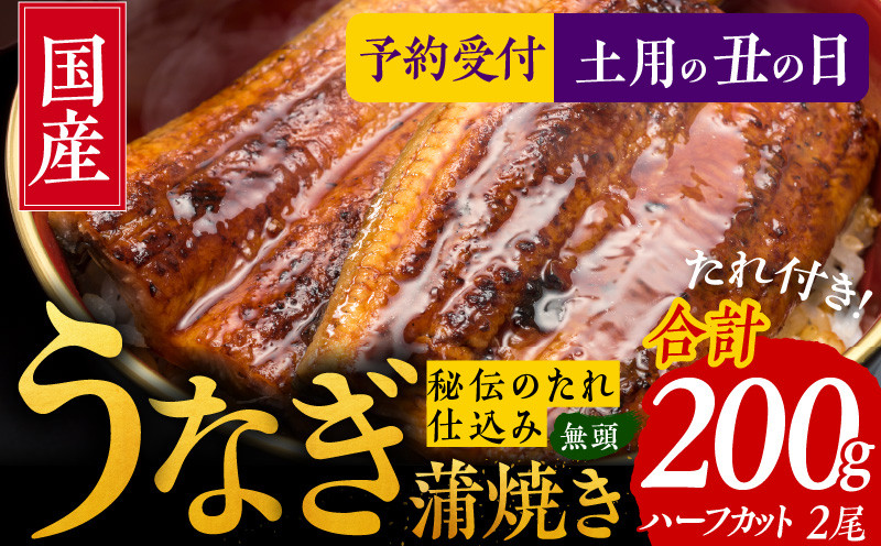 
【土用の丑の日】国産うなぎ ハーフカット 合計 200g 秘伝のたれ 蒲焼 訳あり 鰻 ウナギ 無頭 炭火焼き 備長炭 手焼き 先行予約
