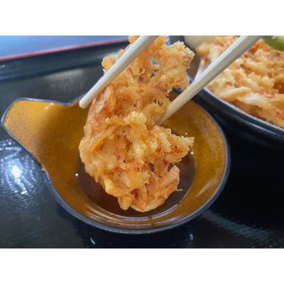 ふるさと納税 焼津市 釜揚げ桜えび 約300g(a10-993) |  | 01