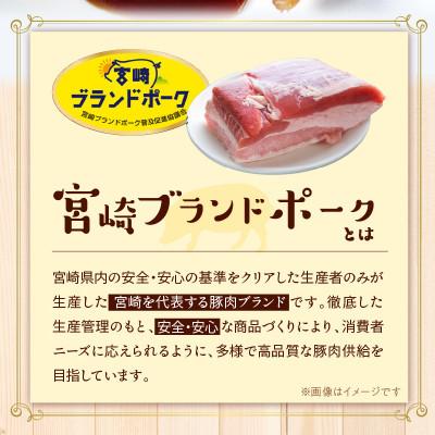 ふるさと納税 延岡市 【便利な個包装】宮崎ブランドポークメンチカツ 70g×10個 |  | 02