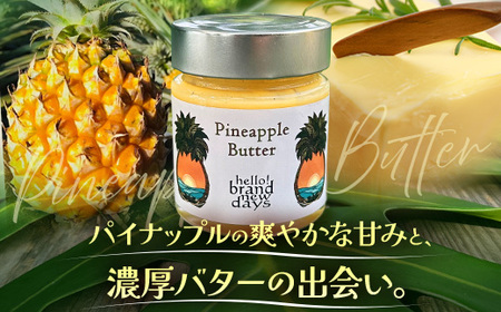 絶品！南大隅町産 【パイナップルバター】約160g× 2瓶 HB-3 ｜パイナップル バター フルーツ ジャム 加工品 スプレッド 国産 南国フルーツ 手作り 鹿児島県 南大隅町 hello! bra