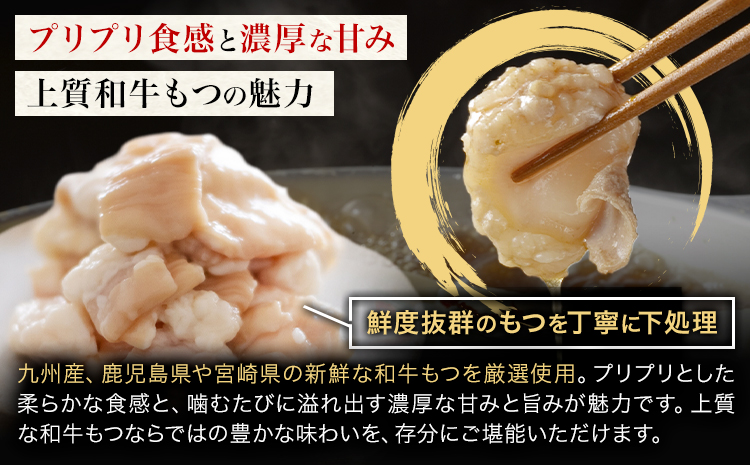 もつ鍋 醤油味 セット 薬味付き ちゃんぽん麵 博多笑樂 2～3人前 地域商社ふるさぽ《90日以内に出荷予定(土日祝除く)》福岡県 鞍手町 もつ 鍋 牛モツ 醤油---skr_ffshktsym_90