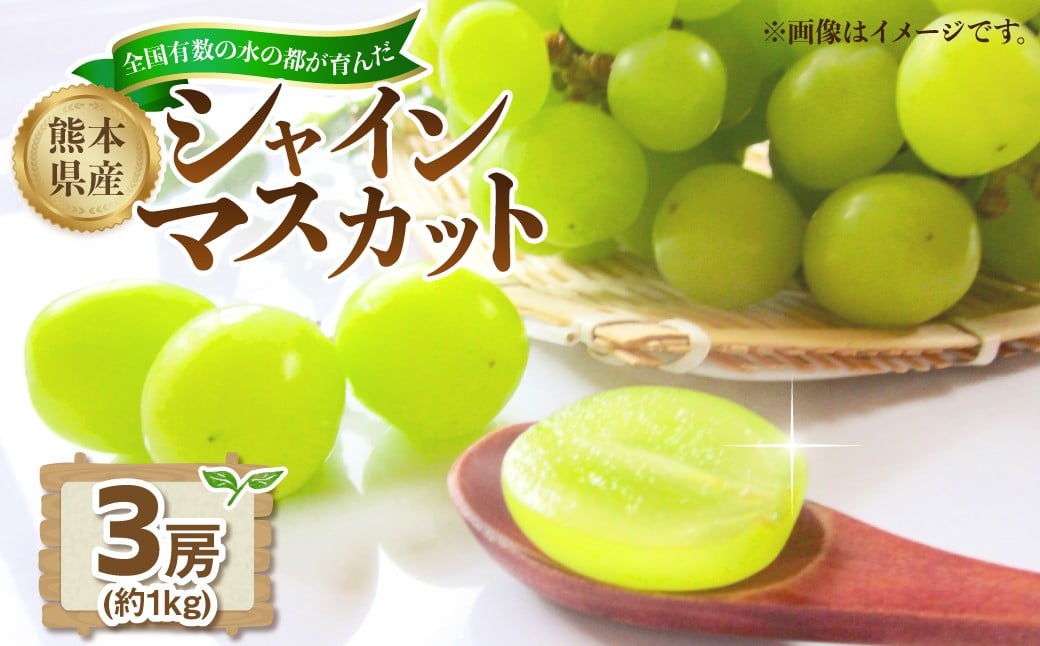
                  熊本県産シャインマスカット約1kg（3房）【2026年8月下旬発送開始】 熊本県産 国産 シャインマスカット シャイン マスカット ぶどう 葡萄 ブドウ おやつ 果物 果実 フルーツ 1kg 3房
                