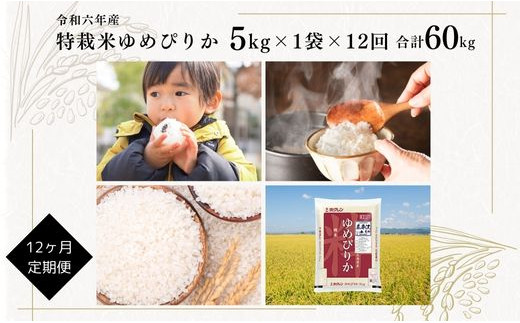 日経トレンディ「米のヒット甲子園」大賞受賞『特栽米ゆめぴりか5kg』定期便！毎月1回・計12回お届け