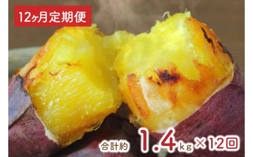 【12ヶ月定期便】★訳あり★紅はるか冷凍焼き芋約1.2kg＋おまかせ品種さつまいも　合計約1.4kg（EY-34）