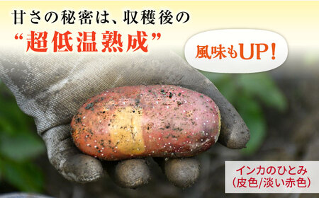 糸島育ちのジャガイモ 2種食べ比べ インカのめざめ インカのひとみ 各5kg・計10kg 【先行予約・2024年7月より順次発送】 糸島市 / 糸島ボンテール農園[ACO014]
