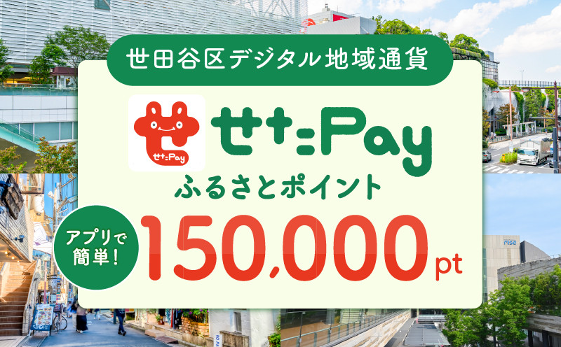 
            世田谷区 地域限定通貨「せたがやPay」 ふるさとポイント150,000pt（1pt＝1円）150,000円分 せたぺい デジタル地域通貨 電子決済 キャッシュレス 飲食 宿泊 体験 電子通貨 東京都 世田谷
          