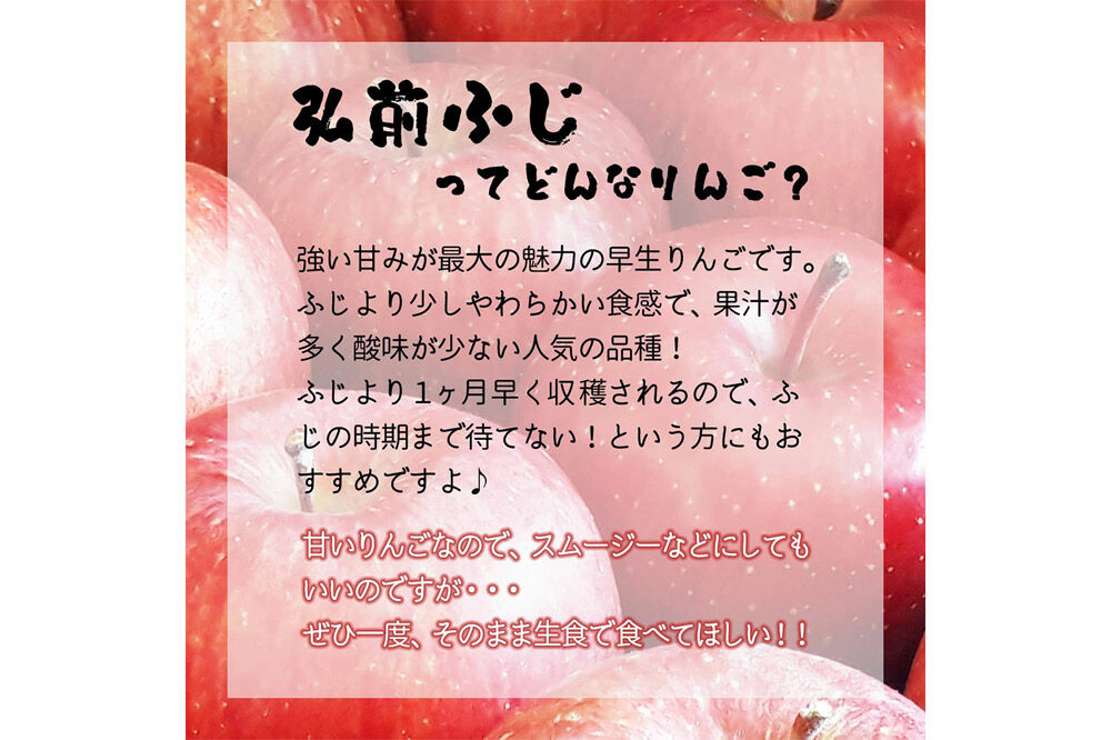 【26年10月中旬〜発送】りんご 弘前ふじ【贈答用】約3kg 内のし付き 青森県 弘前市 [先行予約 アップル おいしい ふじ りんご 果実 果物 赤色 津軽 糖度 美味 林檎]